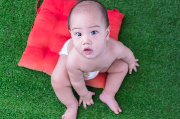 Retrato de bebé asiático feliz en la hierba —  Fotos de Stock