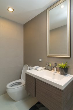 Lüks iç bathtoom veya tuvalet solucan ışık ile