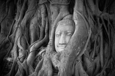 Lüks aydınlatma dekorasyon klasik stili