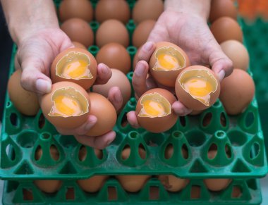 kırık yumurta tutan eller