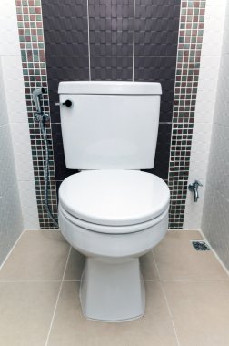 Lüks bathtoom iç