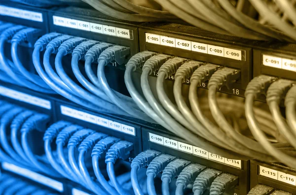 Řádky ze síťových kabelů připojen k routeru — Stock fotografie