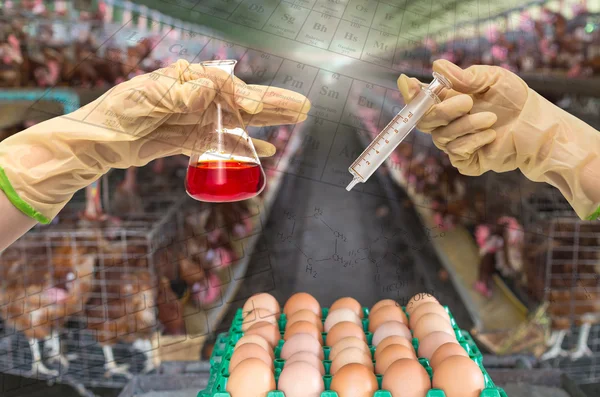 Hands holding syringe and test tube — Stock Photo, Image