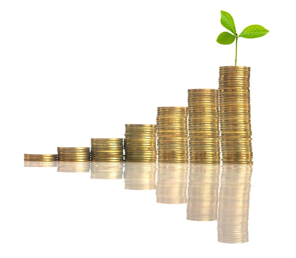 Stapels munten met groene plant — Stockfoto