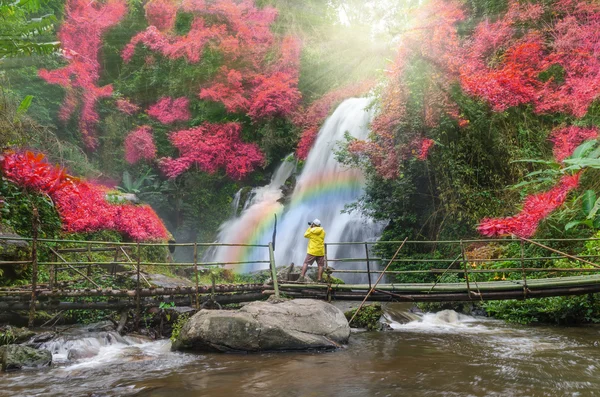 Cachoeira bonita na floresta com o viajante — Fotografia de Stock