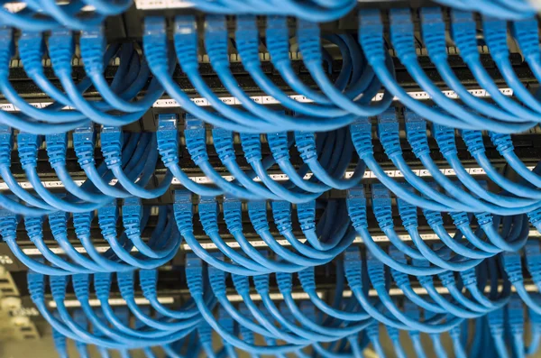 Reihen von Netzwerkkabeln mit Router verbunden — Stockfoto