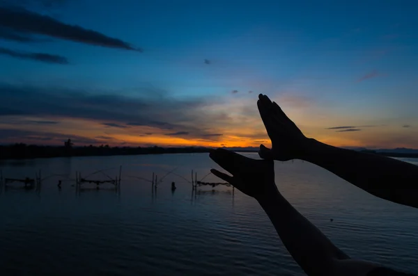 Silhouet van handen als vogel — Stockfoto