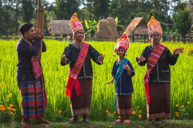 Tanımsız geleneksel çiftçi 