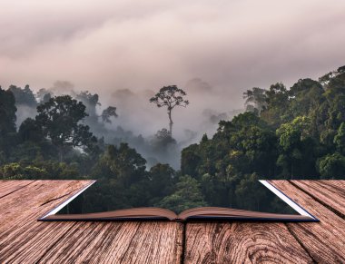 Kavramsal kitap görüntü 