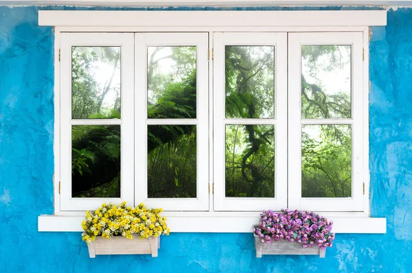 Beautiful Flowers Outside Window — Stock Photo, Image