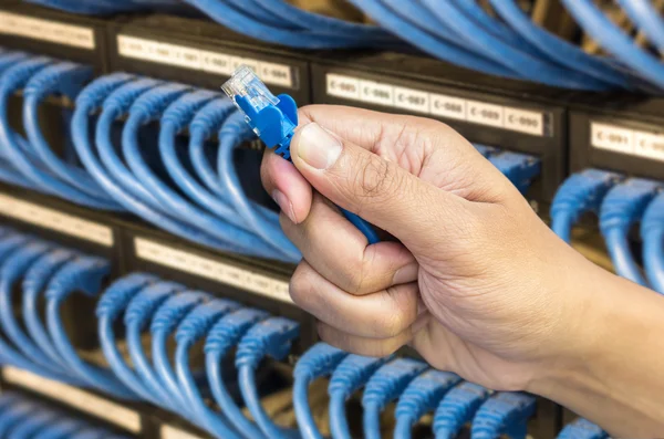 Cable de red de retención manual —  Fotos de Stock