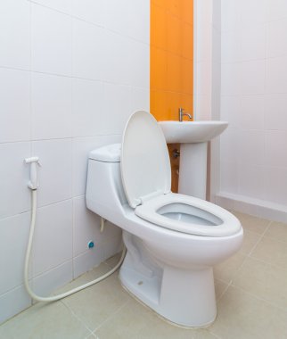 Lüks iç banyo