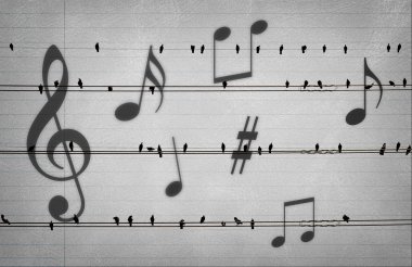 Güvercin Müzik notları ile elektrik telleri üzerinde 