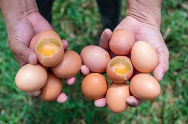 kırık yumurta tutan eller