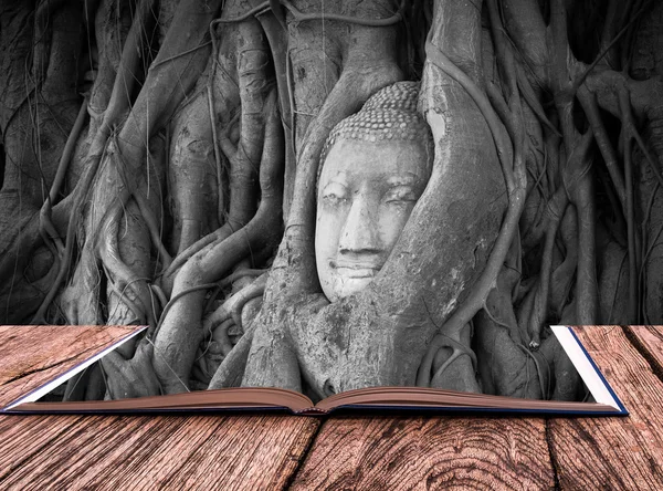 Εννοιολογικό βιβλίου του το κεφάλι του Βούδα — Φωτογραφία Αρχείου