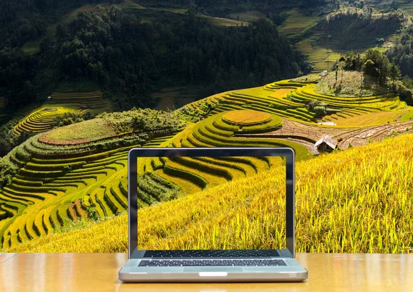 Konzeptionelles Bild des Computer-Laptops — Stockfoto