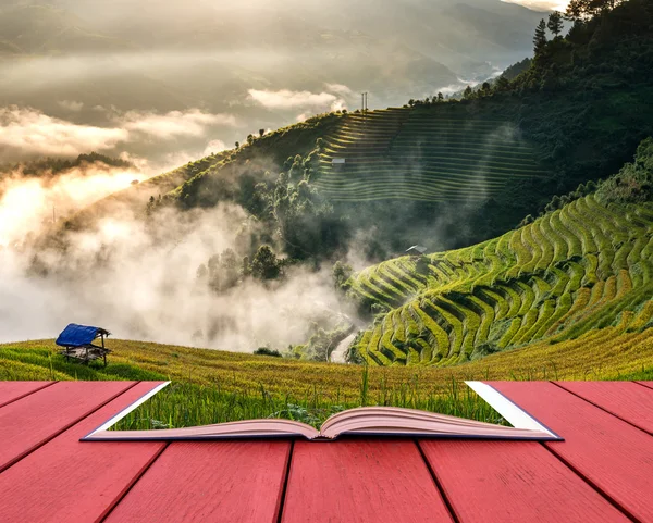 Konzeptionelles Buchbild von Reisfeldern — Stockfoto