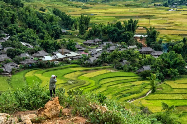 旅行者は、田んぼで写真を撮る — ストック写真