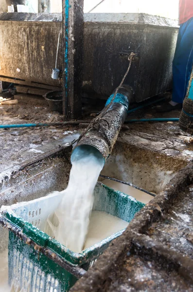 Traditional pouring rubber latex — Stock Photo, Image