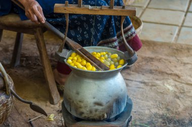 İpek kumaş dokuma portre 