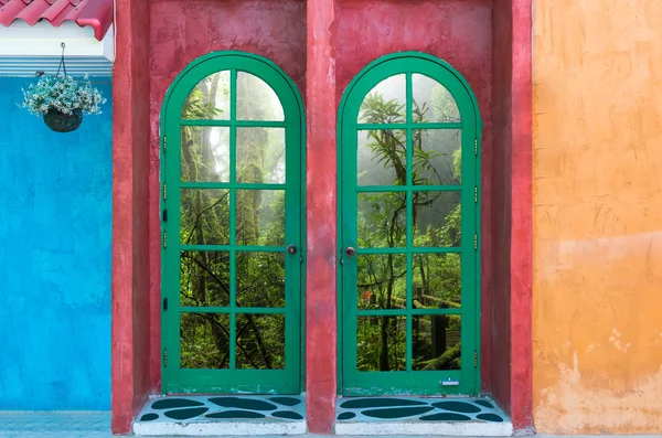 Hermosas flores fuera de la ventana — Foto de Stock