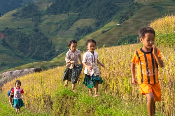 Crianças Hmong vietnamitas indefinidas correndo — Fotografia de Stock