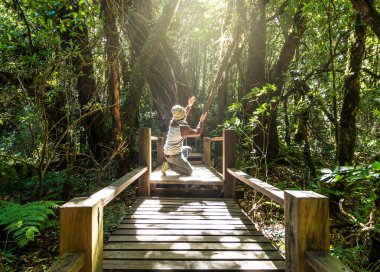 Güzel yağmur ormanı dua Gezgin 