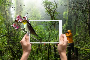 Tablet tutan eller 