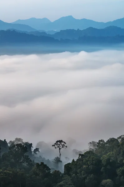 Mlha s pohoří Panoen Thung — Stock fotografie