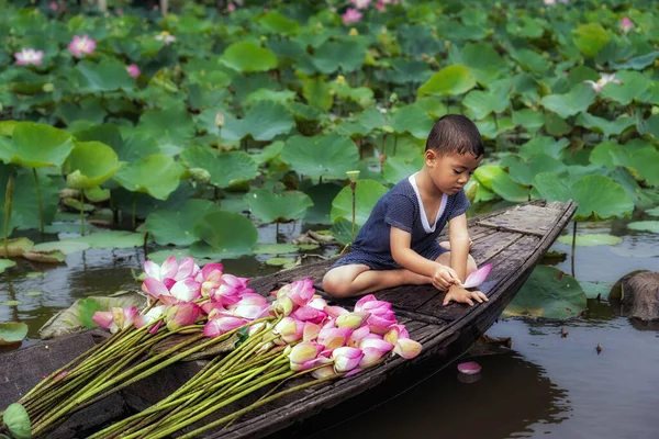 Vietnamesisk Pojke Leker Med Rosa Lotus Löv När Hans Mamma — Stockfoto