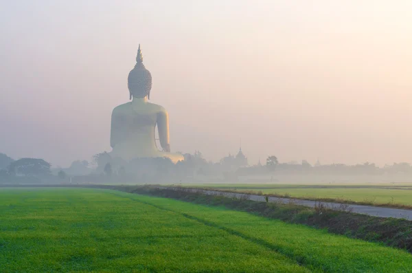 O Grande Buda no Templo Wat Muang com nevoeiro e grama quando sunri — Fotografia de Stock