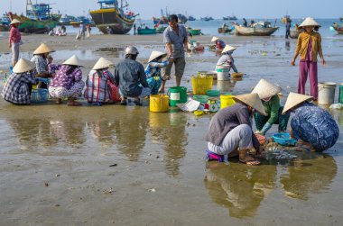 Muine, Vietnam - Eyl 19, 2012: Birçok tanımsız Vietnamca tüccar muine balıkçı köyü 19 Eylül 2012 tarihinde. Deniz ürünleri çıkarımı Vietnam kıyı köylerde ana iştir