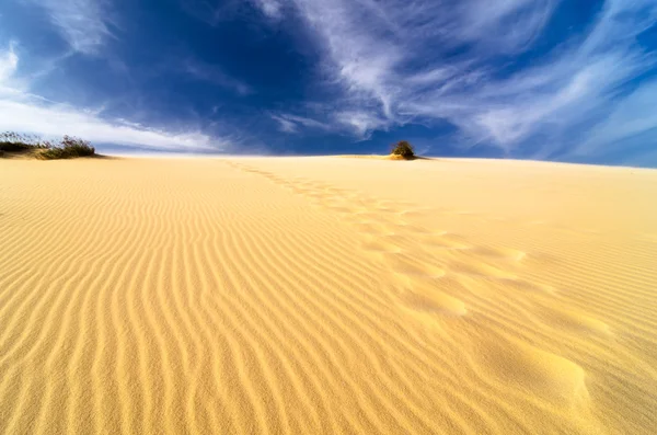Sand dunes at mui ne, vietnam — Stock Photo, Image