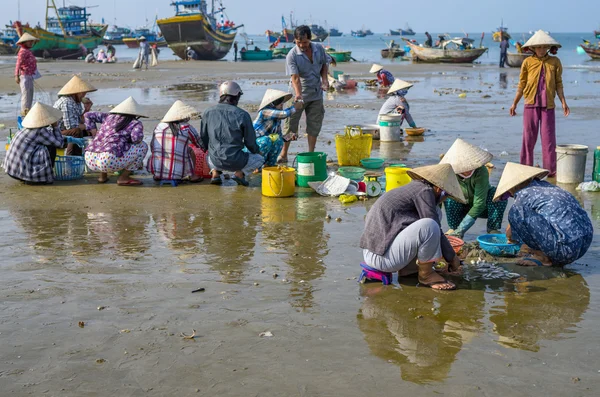 Muine, Vietnam - 19 září 2012: Mnoho nedefinovaný vietnamský obchodník muine rybářské vesnici na 19 září 2012. Extrakce z mořských plodů je hlavní činností v pobřežních vesničkách Vietnamu — Stock fotografie