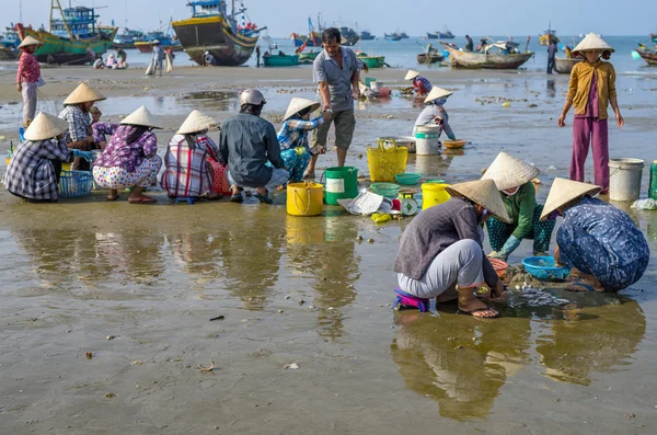 MUINE, VIETNAM - SEP 19, 2012: Many Undefined Vietnamese merchant at muine fisherman village on September 19, 2012. Extraction of seafood is the main business in the coastal villages of Vietnam — Stock Photo, Image