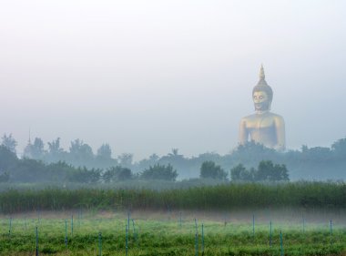 Sis ve ağaç, Angthong Wat Muang Tapınağı'nda Big Buddha, 