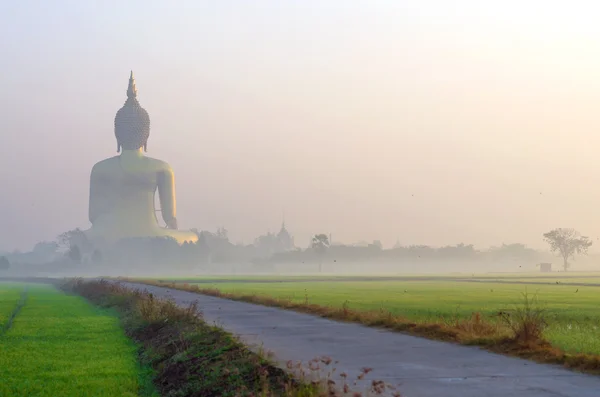 A nagy Buddha, Wat Muang-templom, a köd és a fa, Angthong, — Stock Fotó