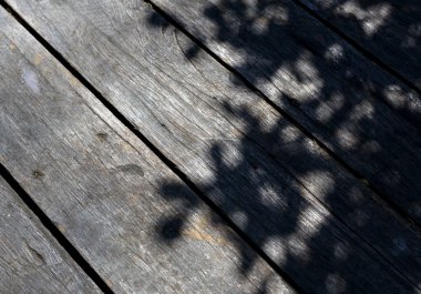 Ahşap arka plan ağaç gölge