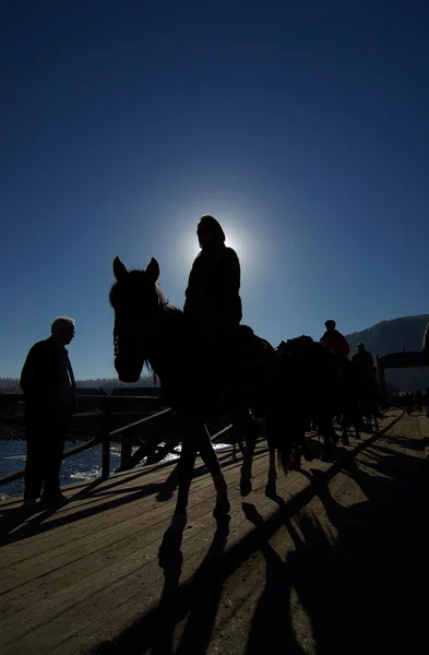 Silhouette of riding a horse — Stock Photo, Image