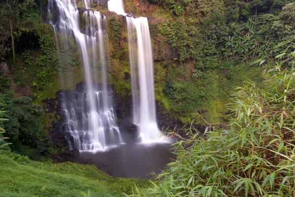 Fechar a cachoeira floresta verde — Fotografia de Stock