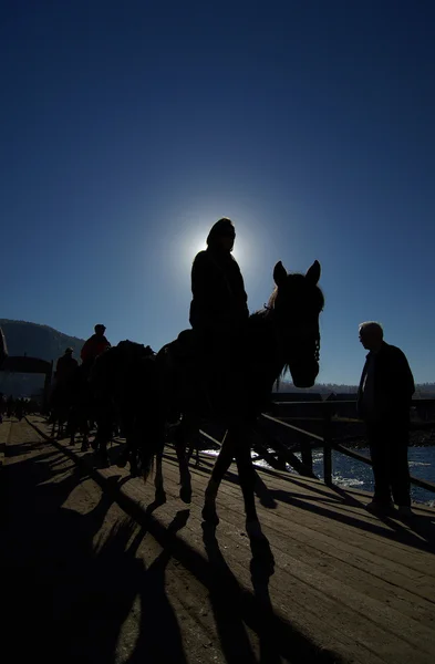 Silhouette of riding a horse — Stock Photo, Image