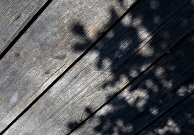 Ahşap arka plan ağaç gölge