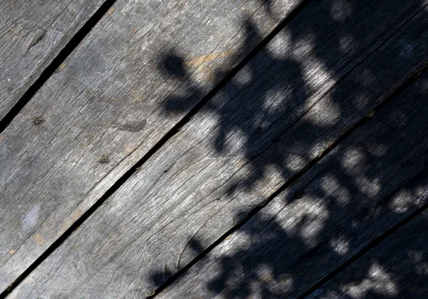 Tree shadow on the wood Background — Stock Photo, Image