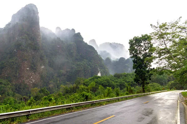 Bosque de árboles brumosos en el paisaje de montaña con niebla y carretera, Tailandia —  Fotos de Stock