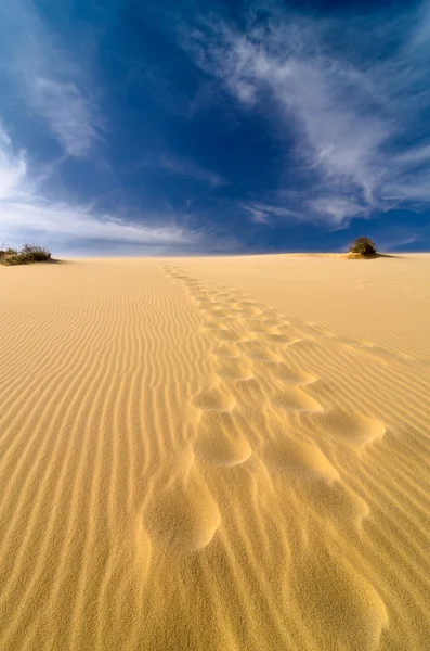 Sand dunes at muine, vietnam — Stock Photo, Image