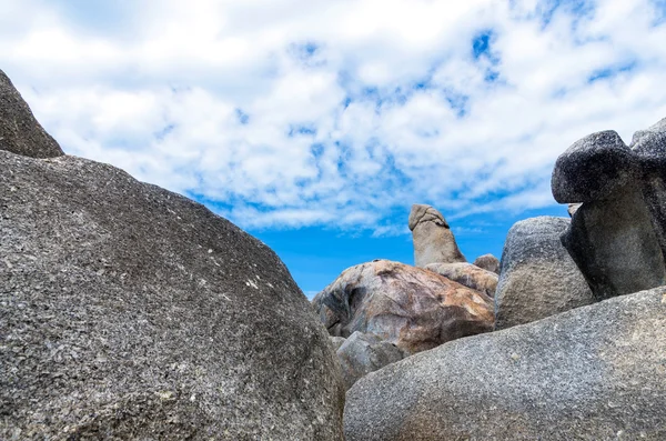 Bizarre Rock (Hin Ta Rock) , Samui Island , Surat thani ,Thailan — Stock Photo, Image