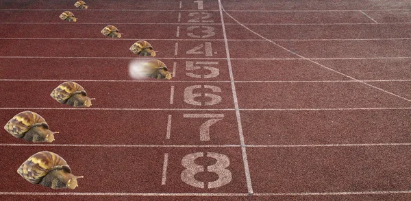 Snails race on sports track