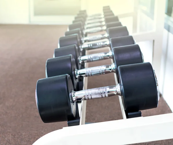 Linhas de halteres na sala de fitness — Fotografia de Stock