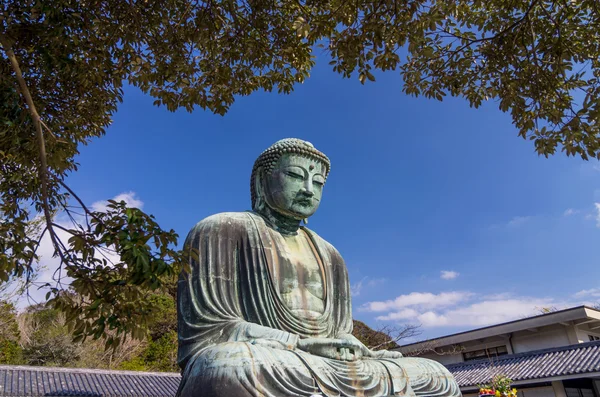 El Gran Buda (Daibutsu) del Templo Kotokuin en Kamakura, Japón — Foto de Stock