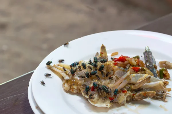 Мухи кишат крабами на блюде — стоковое фото